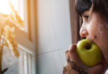 La mala alimentación afecta en el desarrollo cognitivo de los niños