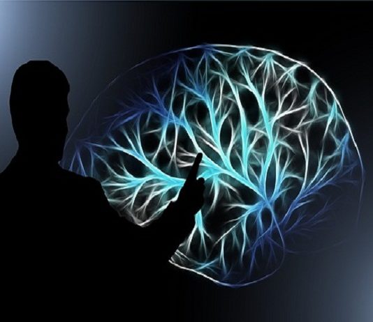 Documental interactivo muestra al Alzheimer y el Parkinson de forma interesante